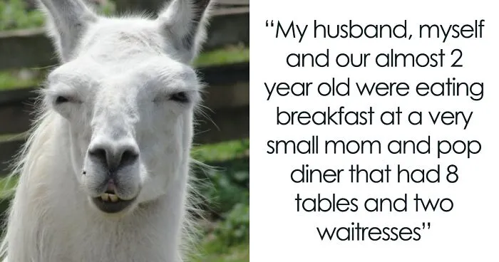 Woman Arrives At Diner, Says “I’ll Sit Here” Gesturing To Table Occupied By Family Of 3