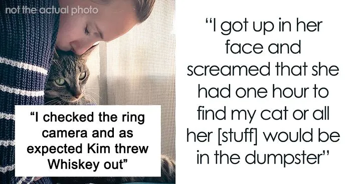 Woman Chooses Her Elderly Cat Over Fiancé And His Pregnant Daughter, Gets Full Support Online