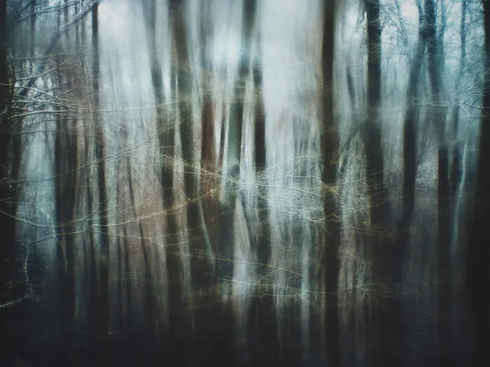 Dream Along From The Series 'Nature Of Europe' © Thaddäus Biberauer