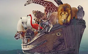 Painting The Animal Kingdom: From Sloths To Jackalopes