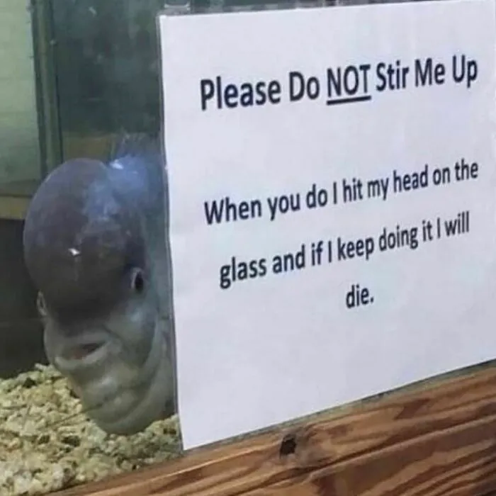 30 "Cursed Images" That Give Off An Uneasy Vibe, As Shared By This Instagram Page
