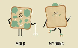 A Playful Twist Of Words: My Series Of 30 Punny Illustrations And Their Quirky Opposites