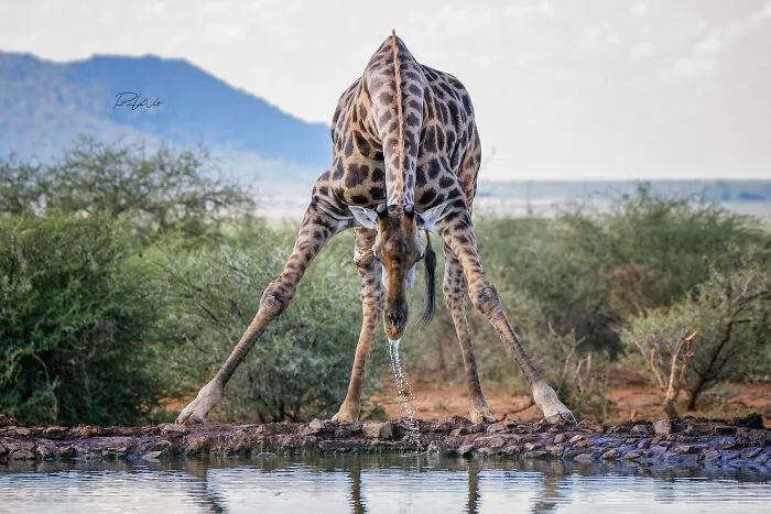 I Am A Photographer Passionate About Wildlife, Nature, And Conservation: Here Are My Best 45 Photos