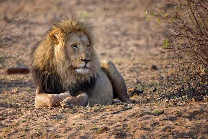 I Am A Photographer Passionate About Wildlife, Nature, And Conservation: Here Are My Best 45 Photos