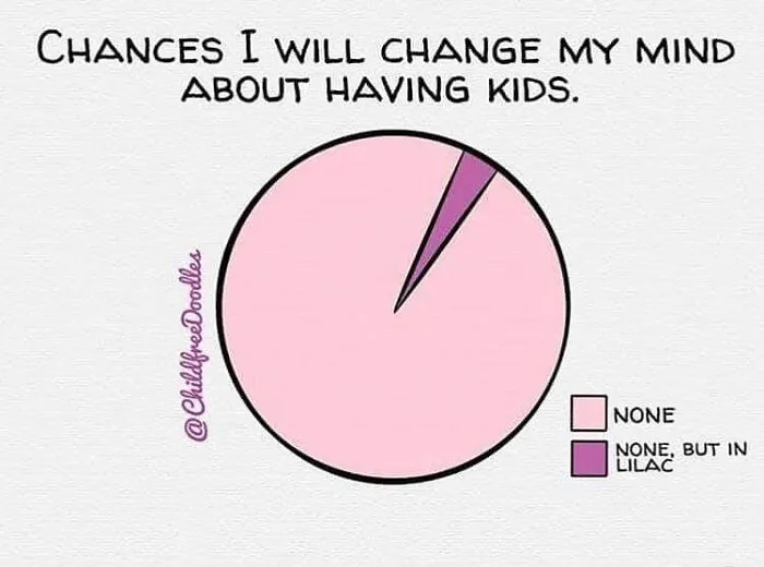 40 Hilarious Memes That Perfectly Sum Up What Being Childfree Is Like