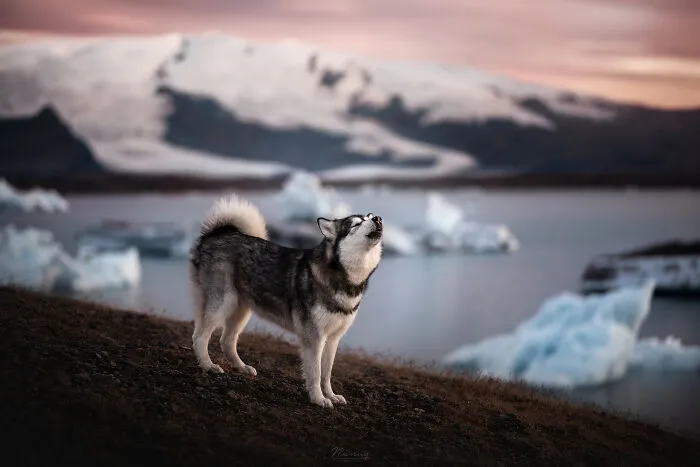 Singing Her Song