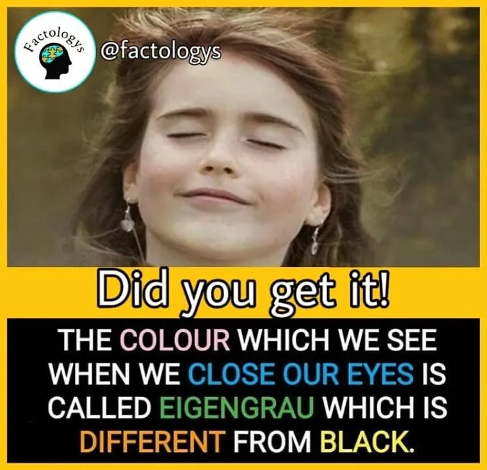 Interesting-Facts-Factologys