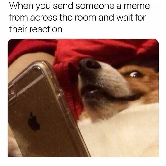 45 Hilariously Relatable Friendship Memes To Share With Your Best Friend