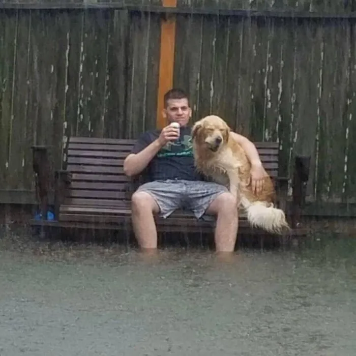 This IG Page Is A Treasure Trove Of ‘Blursed’ Imagery, And Here Are 50 Of The Most Confusing