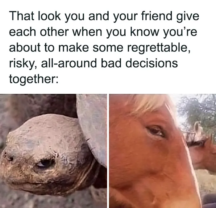 45 Hilariously Relatable Friendship Memes To Share With Your Best Friend