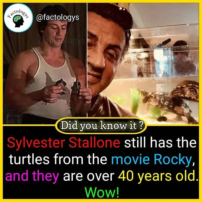 31 Interesting Facts That Might Surprise You, As Shared On 'Factologys'
