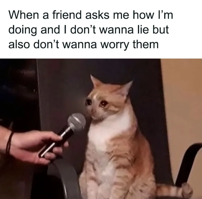 45 Hilariously Relatable Friendship Memes To Share With Your Best Friend