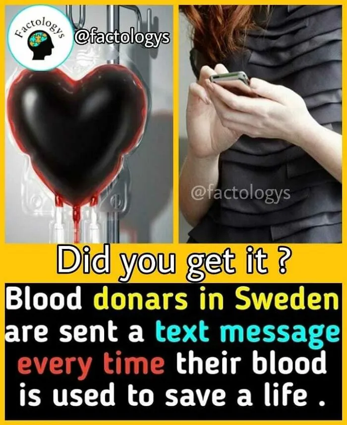 31 Interesting Facts That Might Surprise You, As Shared On 'Factologys'