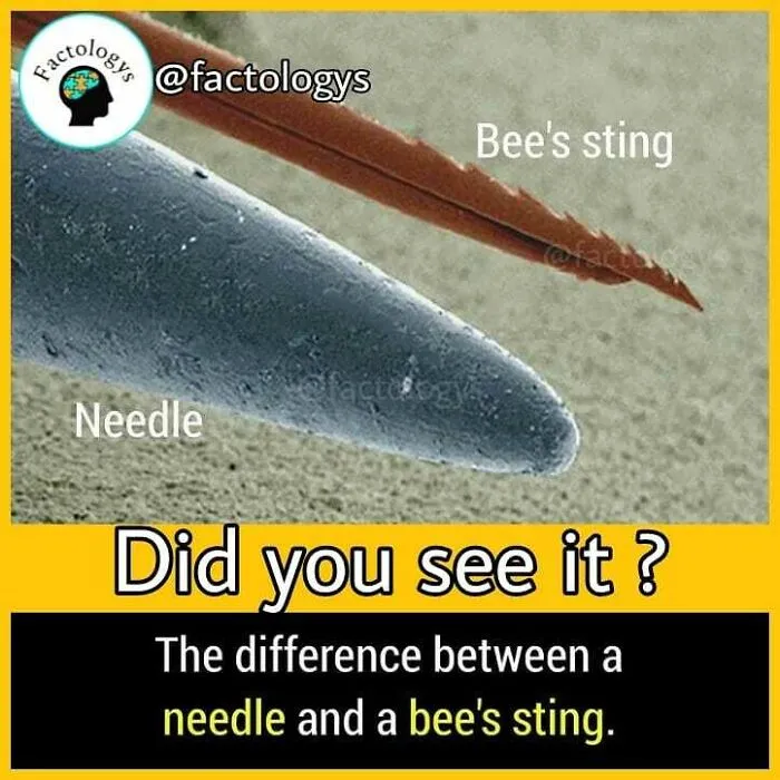 31 Interesting Facts That Might Surprise You, As Shared On 'Factologys'