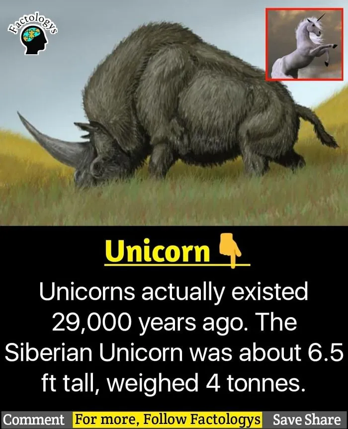 31 Interesting Facts That Might Surprise You, As Shared On 'Factologys'