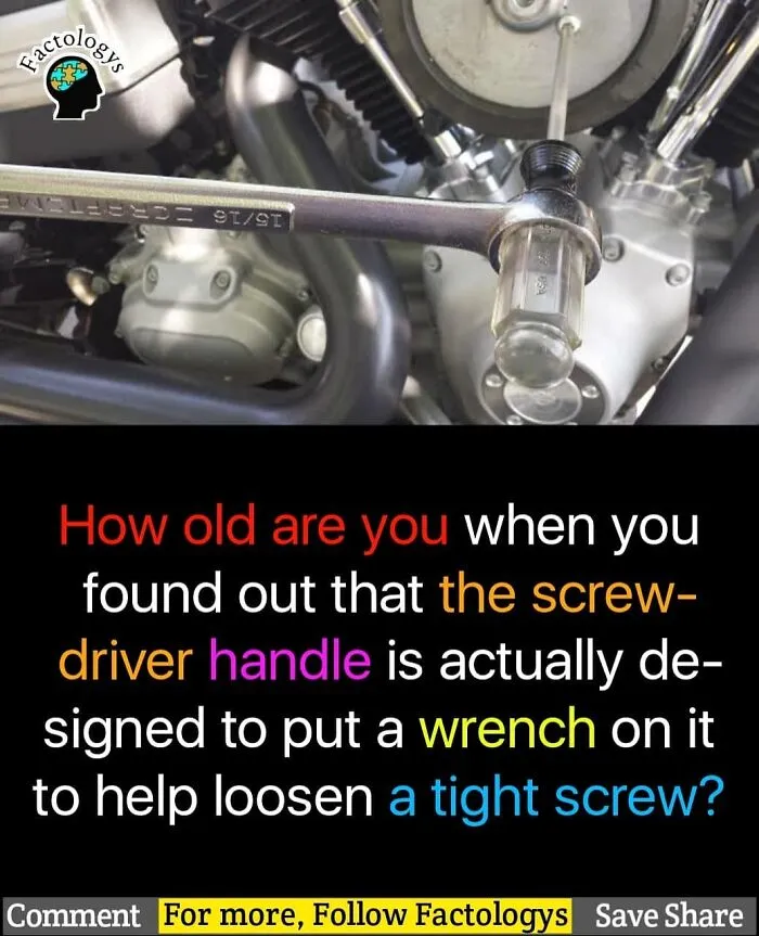 31 Interesting Facts That Might Surprise You, As Shared On 'Factologys'