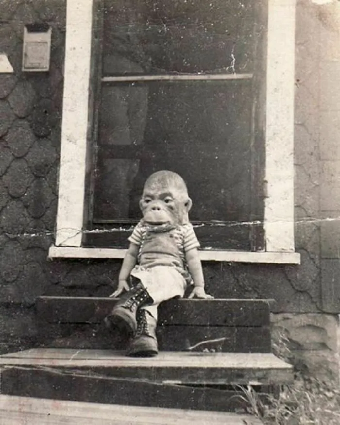 Este pequeño da miedo, años 50