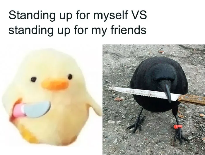 45 Hilariously Relatable Friendship Memes To Share With Your Best Friend