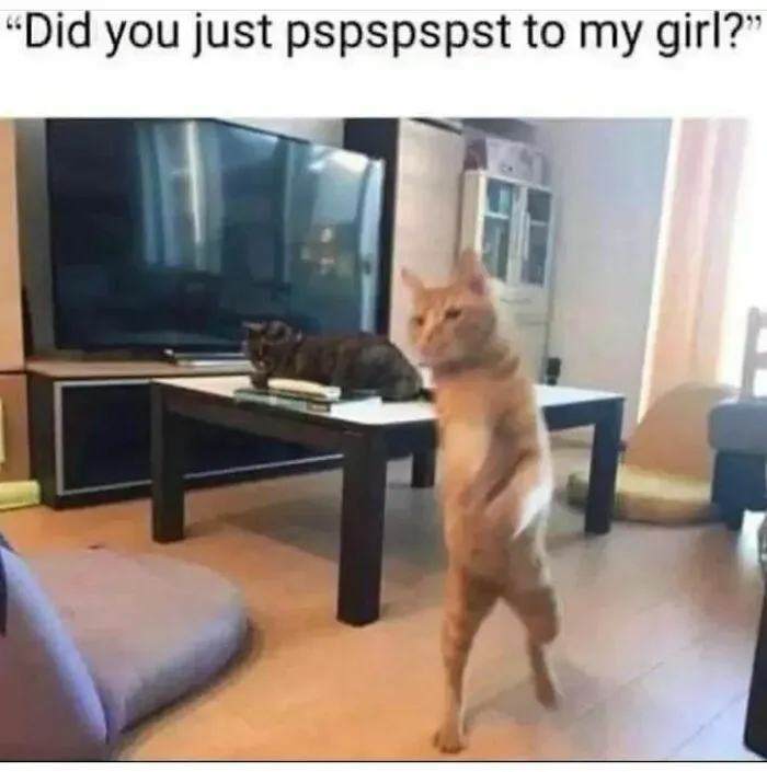 Funny cat meme from Happycat318: an orange cat standing on hind legs, looking surprised, captioned with "Did you just pspspspst to my girl?"