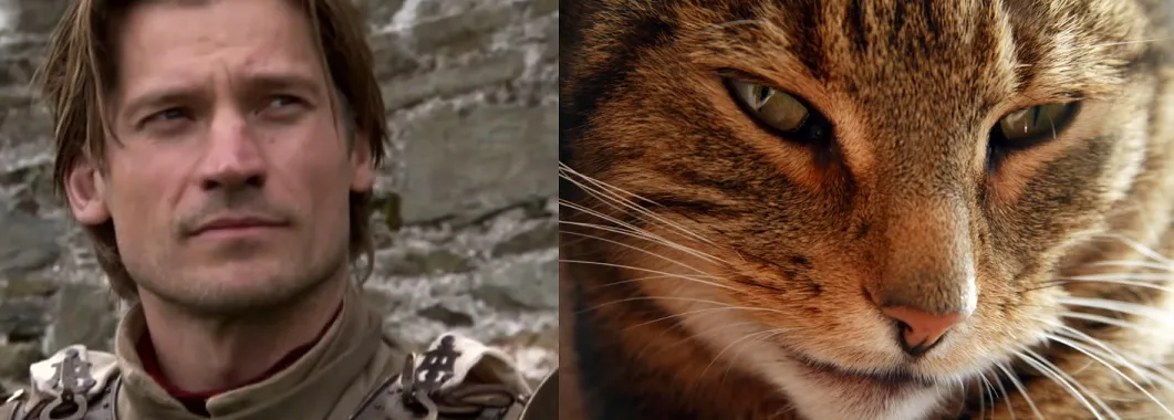 10 Game Of Thrones Characters And Their Cat Look-A-Likes