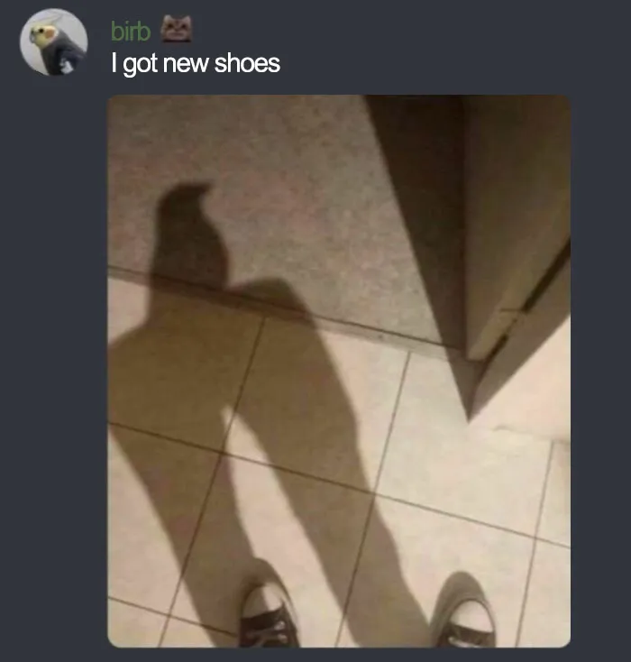 “Blursed”: 50 Images That Are Giving Both “Blessed” And “Cursed” Energy