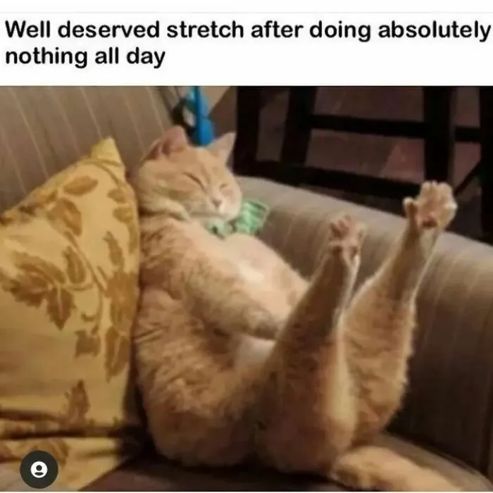 Cat meme from Happycat318: A relaxed ginger cat stretches out on a couch after doing nothing all day.