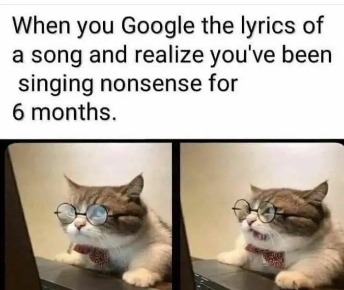 Cat meme: A cat wearing glasses looking at a laptop, captioned about realizing song lyrics were wrong for six months.