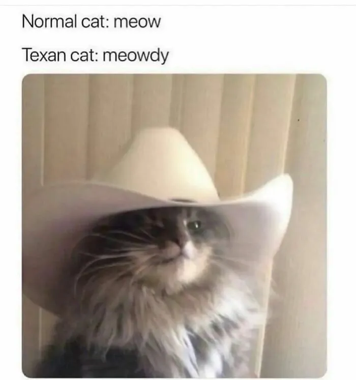 Funny-Adorable-Cat-Memes-Happycat318