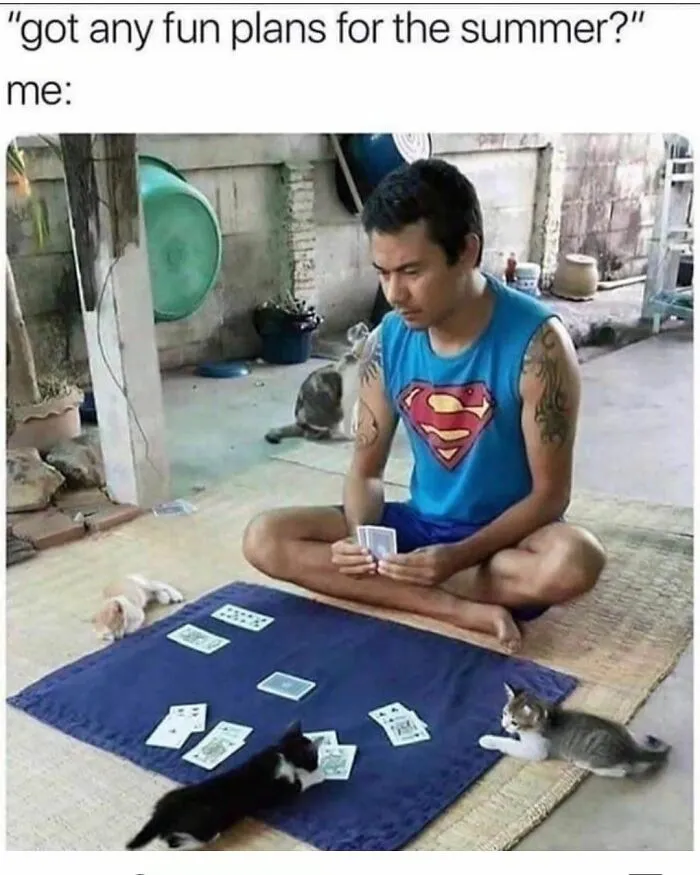 Man in superhero shirt playing cards with cats, capturing a hilarious cat meme moment.