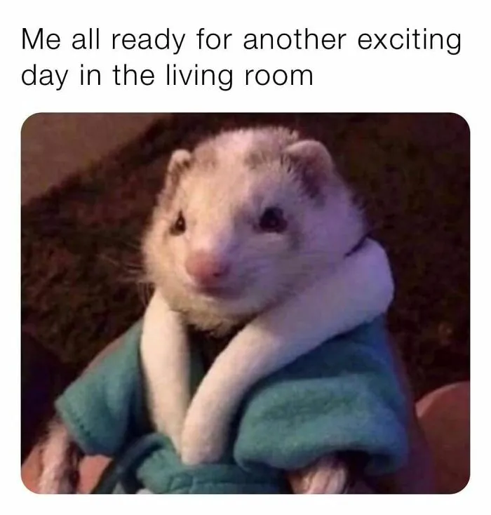 The Introvert Dating Dilemma: 47 Memes That Capture The Struggle
