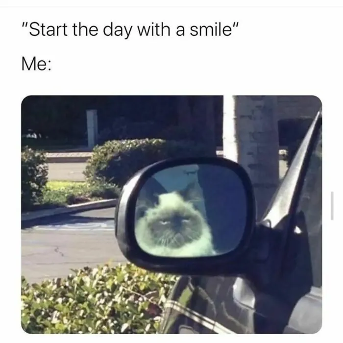 Grumpy cat reflection in car mirror, adding humor to a morning routine.
