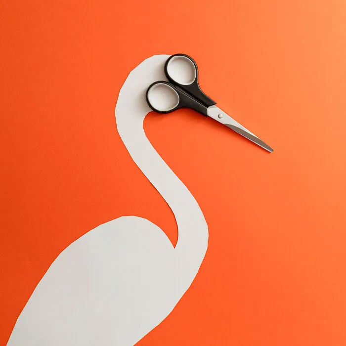 Crafty Crane