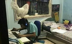 30 Pics That Raise More Questions Than Answers, Posted By "Images That Need More Context"