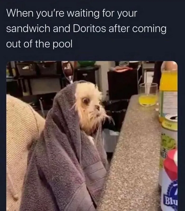 50 Hilariously Relatable Memes, As Seen On This IG Page