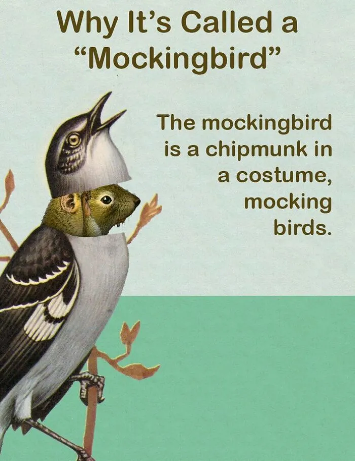These Confusing ‘Science Facts’ Challenge Your Knowledge In A Hilarious Way