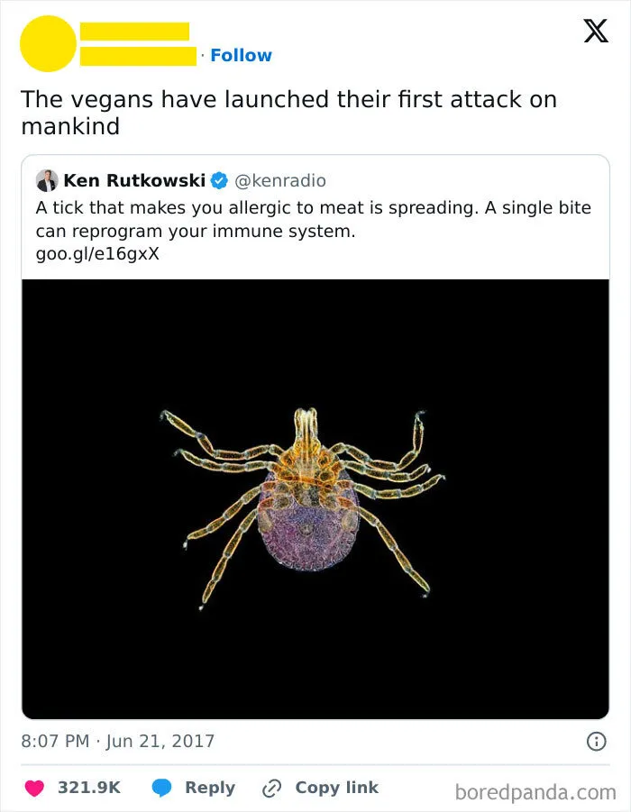 Vegan Memes