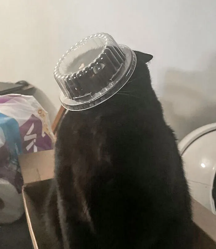 I Literally Looked Away From Him For 5 Seconds