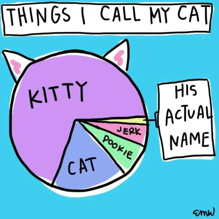 Cat-Calling