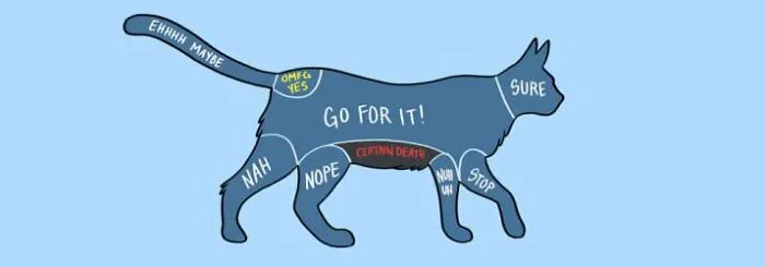 Learn How To Pet Them