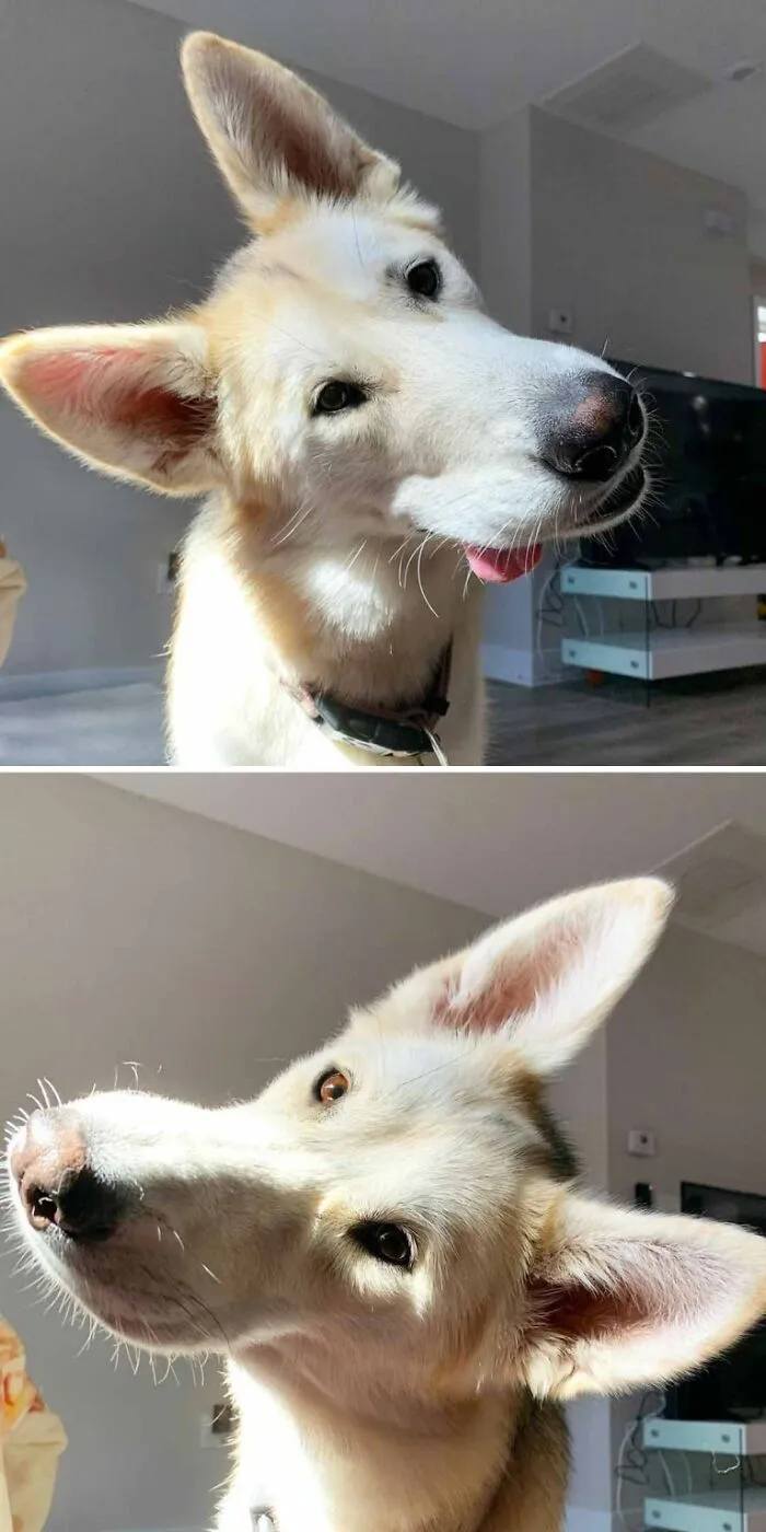Selfie Time