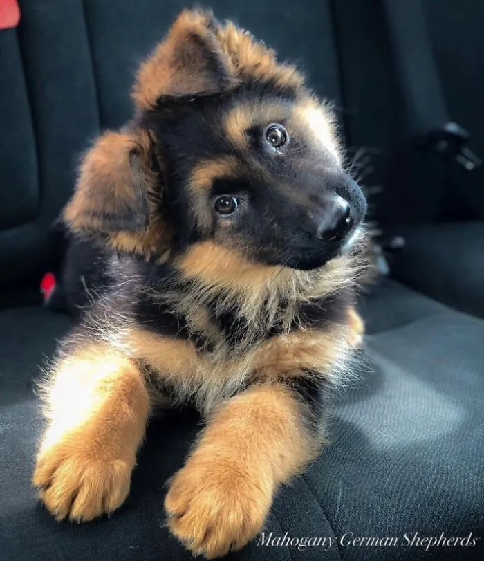 Do You Wanna Play?