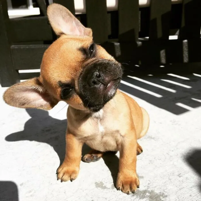 What R U Doing, Mommy?