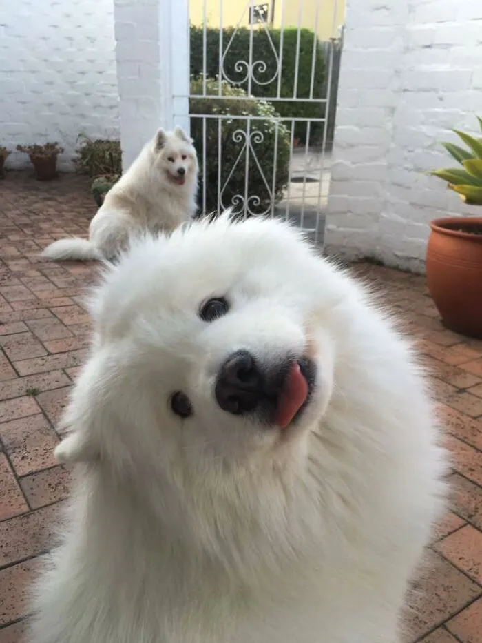 Hello! It’s Me