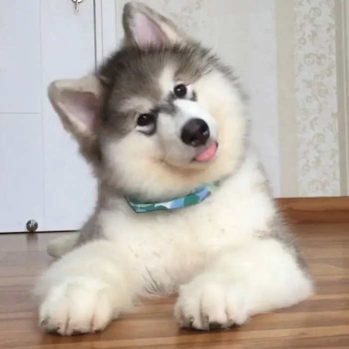 Mlem