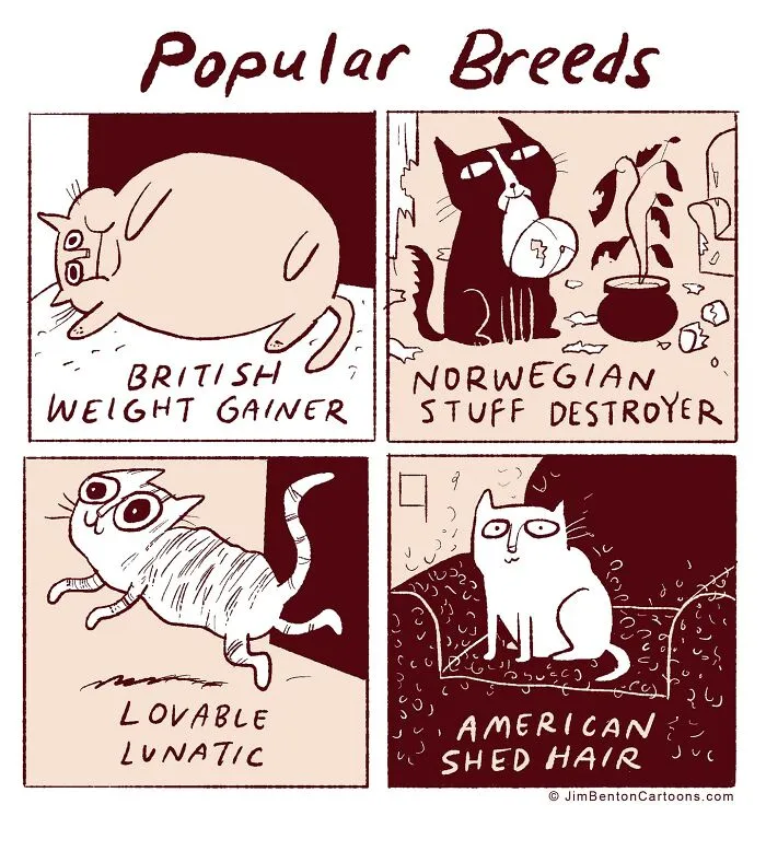 50 Comics That Feature Ironic Twists And Peculiar Humor By This Artist (New Pics)