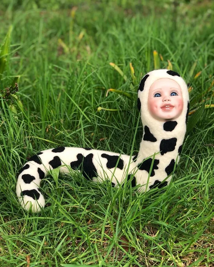 Cow Slug