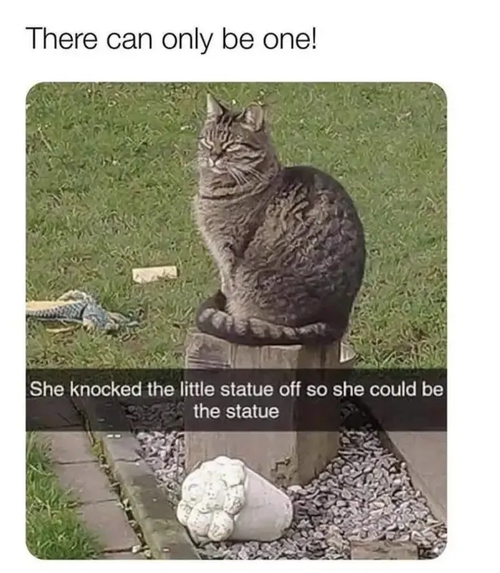 Of Course