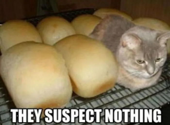 So Sneaky