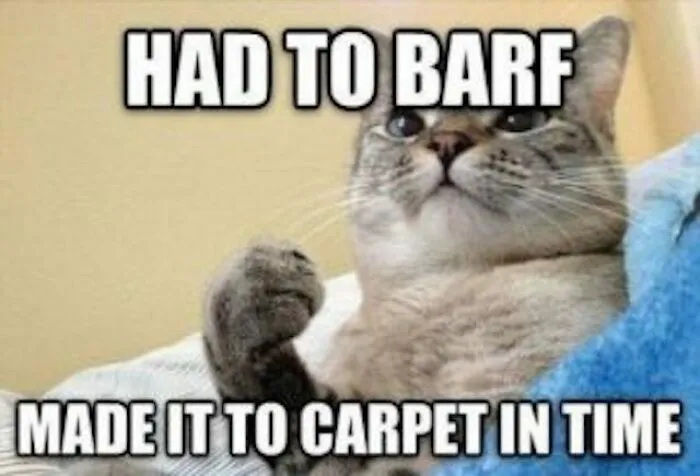 Achievement Unlocked: Stinky, Dirty Carpet