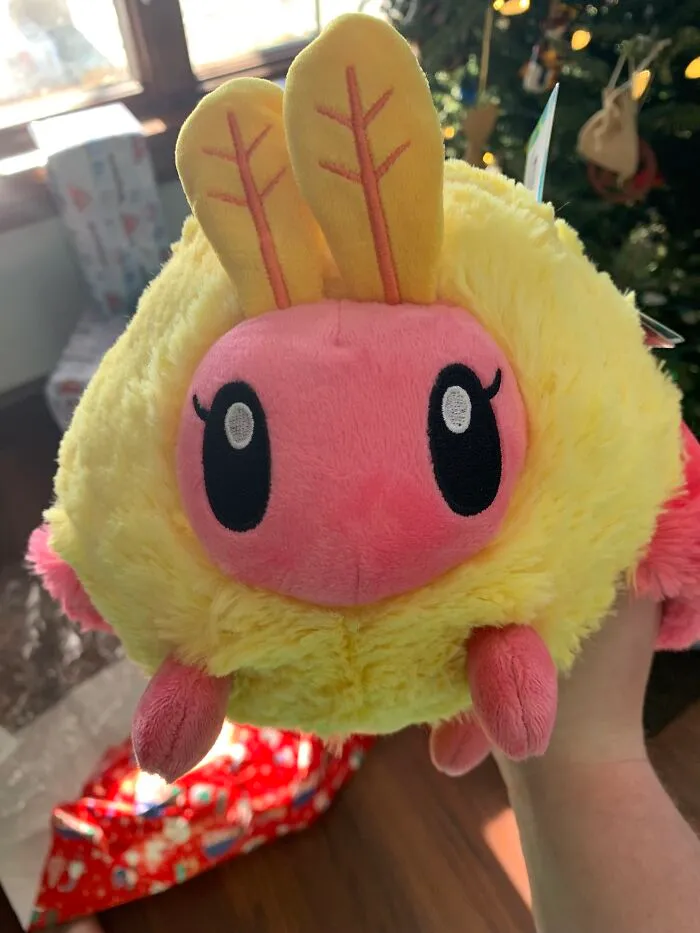 Rosy Maple Moth